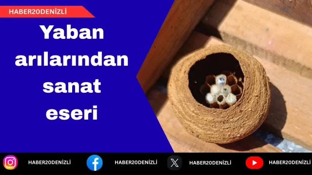Yaban arılarından sanat eseri