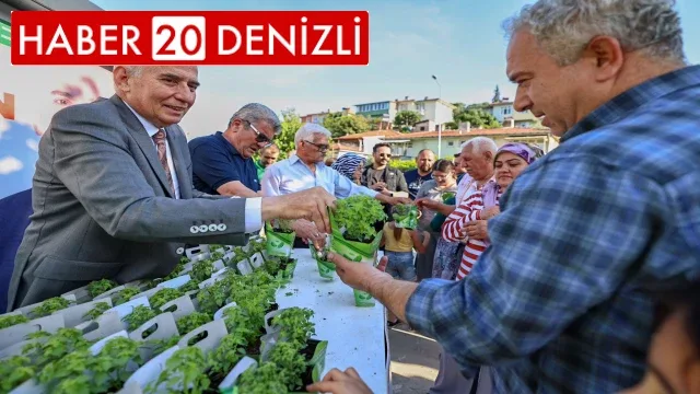 Denizli fesleğen kokacak