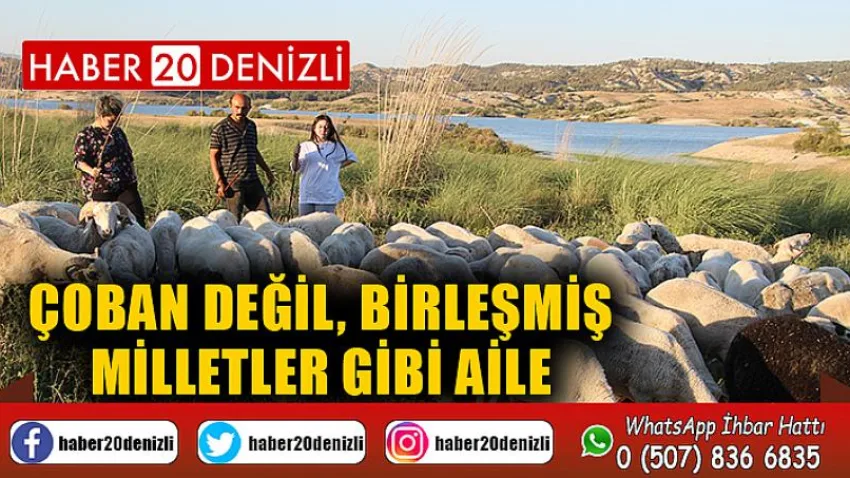 Çoban değil, Birleşmiş Milletler gibi aile