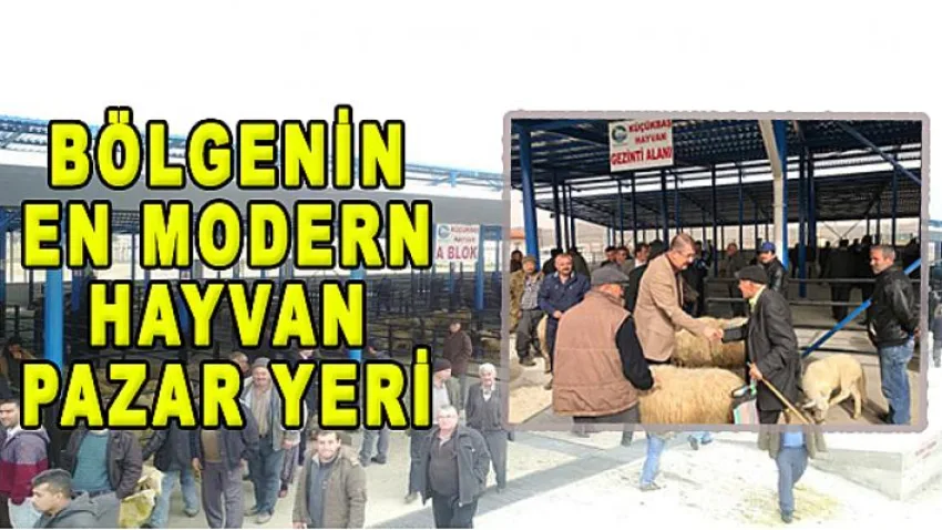 Bölgenin En Modern Hayvan Pazar Yeri