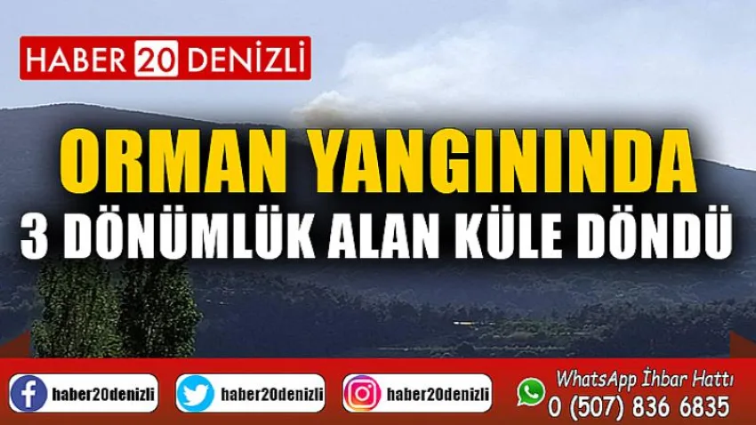 Orman yangınında 3 dönümlük alan küle döndü