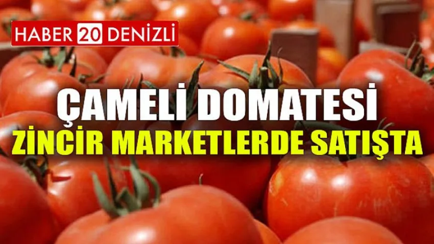Çameli Domatesi Zincir Marketlerde Satışta