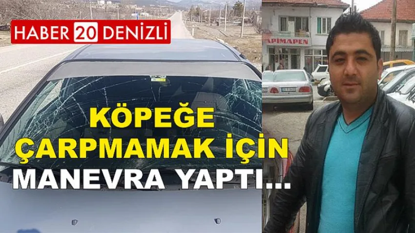 Köpeğe Çarpmamak İçin Manevra Yaptı...
