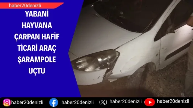 Yabani hayvana çarpan hafif ticari araç şarampole uçtu