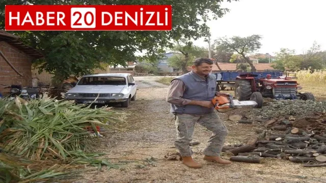 Başına çarpan ağaç sonu oldu