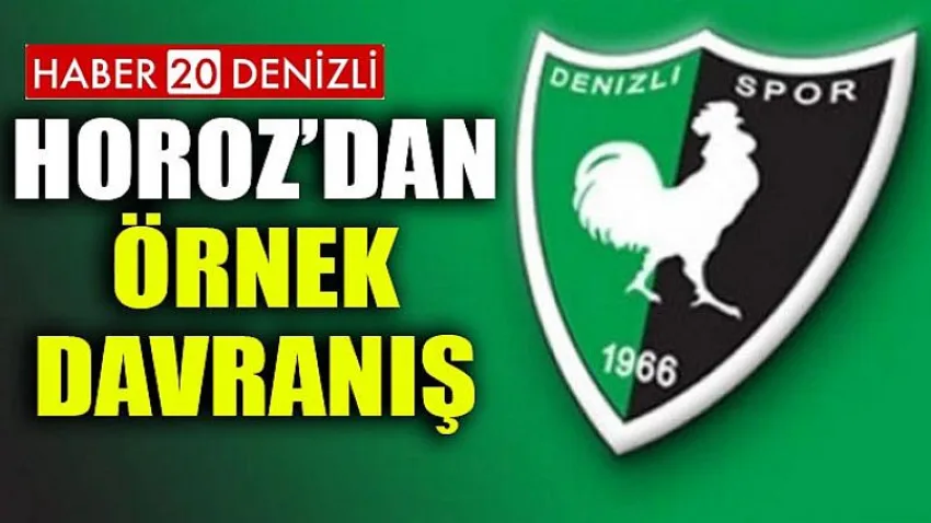 Horoz'dan Örnek Davranış