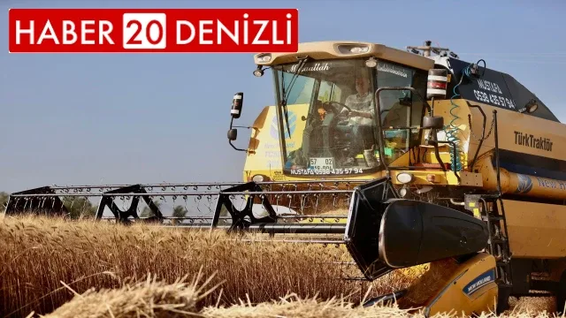 Başkan Zolan, biçerdöverle buğday hasadı başladı
