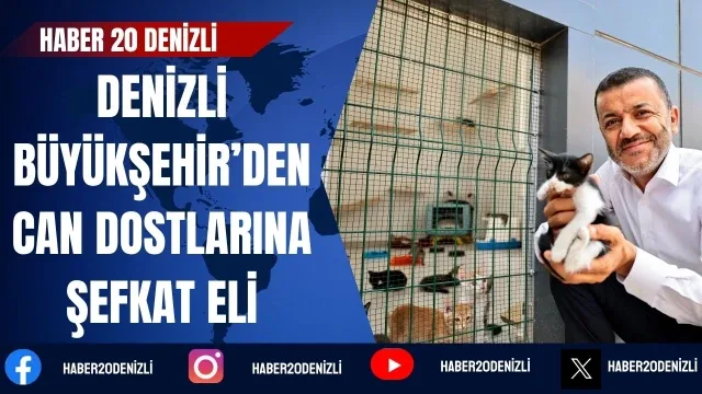 Denizli Büyükşehir’den can dostlarına şefkat eli