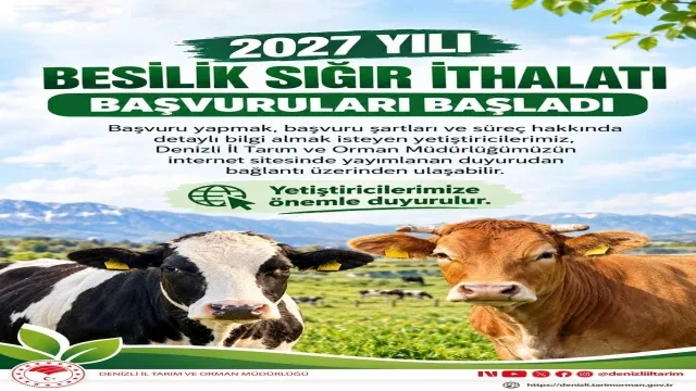 Denizli'de 2027 yılı besilik sığır ithalatı başvuruları başladı