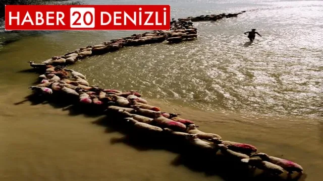 Cumhuriyet’in 99.Yılına Damga Vuran Fotoğraf Çal’dan