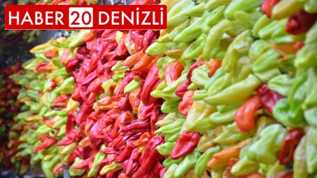 Tescilli Kale biberinde hasat devam ediyor