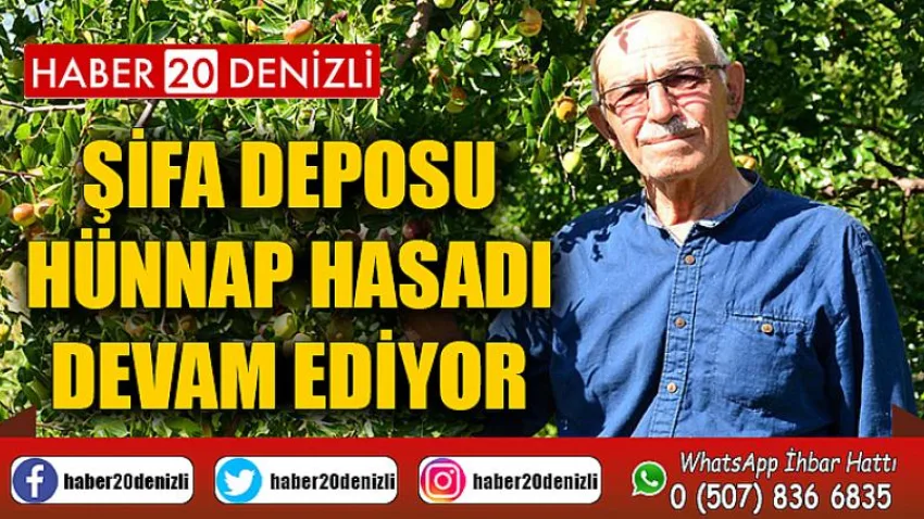 Şifa Deposu Hünnap Hasadı Devam Ediyor