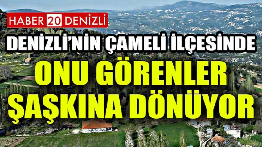 Onu Görenler Şaşkına Dönüyor !
