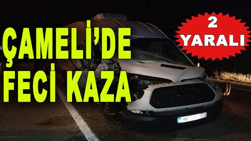 Çameli'de Feci Kaza: 2 Yaralı