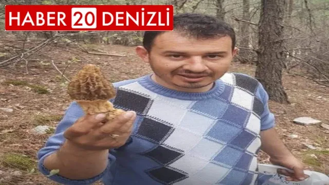 Fiyatı 700 lirayı bulan kuzugöbeği gelir kapısı oldu