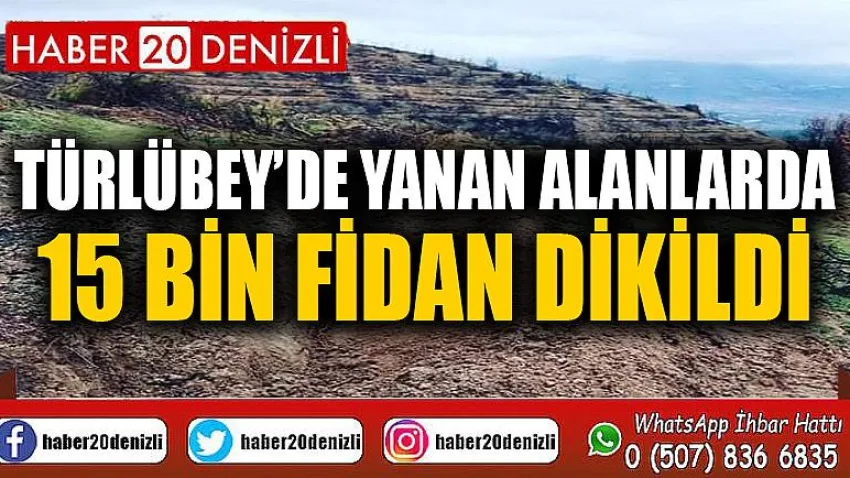Türlübey’de yanan alanlarda 15 bin fidan dikildi
