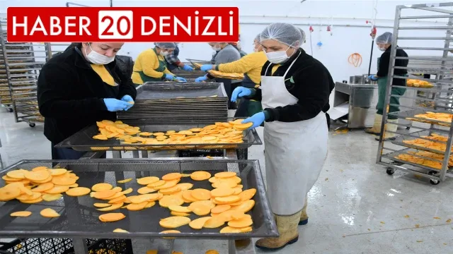 Başkan Şevik, “Meyve-Sebze Kurutma Tesisi’ni ziyaret etti.