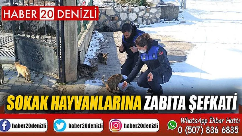 Sokak Hayvanlarına Zabıta Şefkati