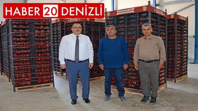 Denizli’den Avrupa’ya ve Kanada’ya Nar İhracatı Başladı