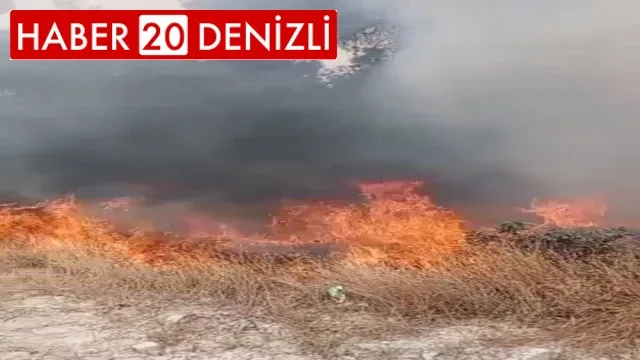 Buldan'da çıkan yangın, ormana sıçramadan söndürüldü