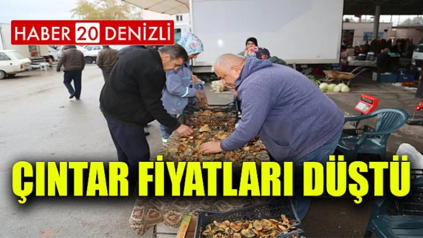 Çıntar Fiyatları Düştü