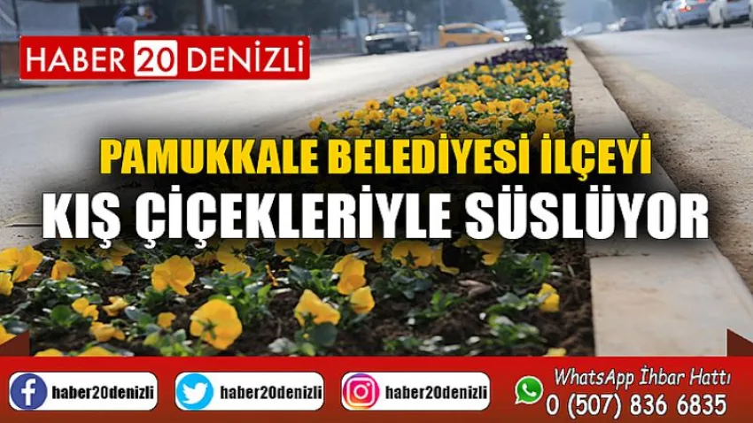 Pamukkale Belediyesi İlçeyi Kış Çiçekleriyle Süslüyor