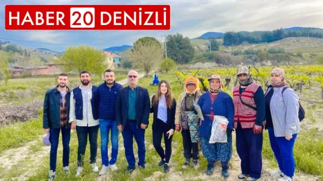 Denizli’nin bağlarında salkım güvesiyle mücadele sürüyor