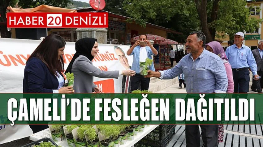 Çameli'de Fesleğen Dağıtıldı