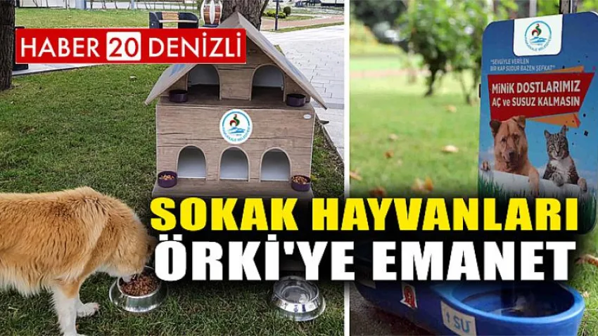Sokak Hayvanları Örki'ye Emanet