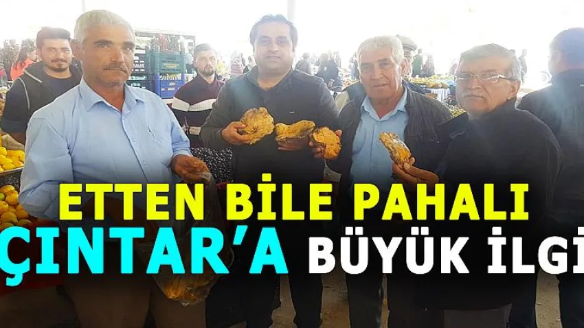Etten Bile Pahalı Çıntar'a Büyük İlgi