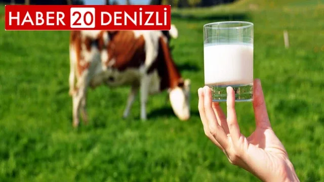Çiğ süt destekleme ödemesi yatırılmaya başladı