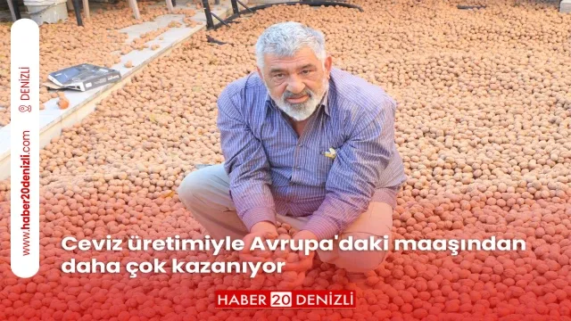 Ceviz üretimiyle Avrupa'daki maaşından daha çok kazanıyor