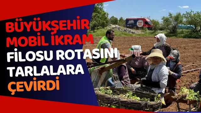 Büyükşehir mobil ikram filosu rotasını tarlalara çevirdi