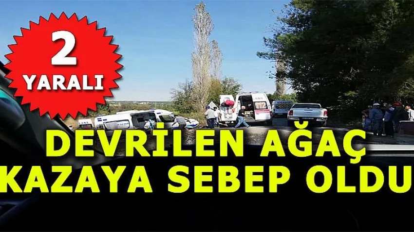 Devrilen Ağaç Kazaya Sebep Oldu