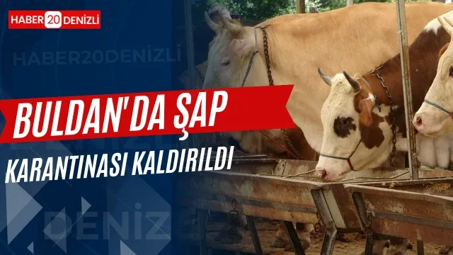 Buldan'da şap karantinası kaldırıldı