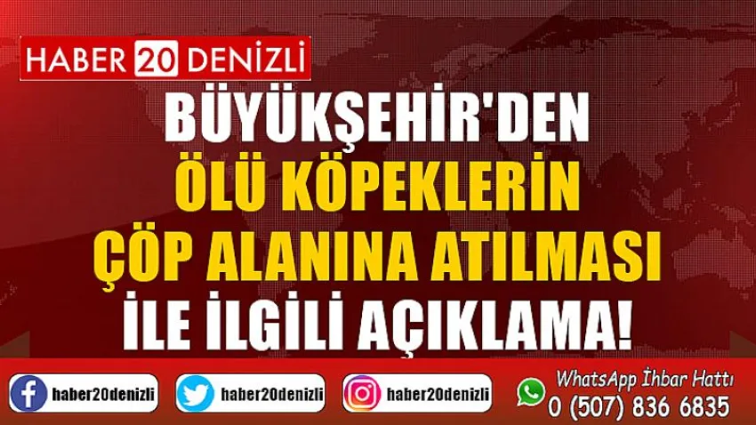 Büyükşehir'den ölü köpeklerin çöp alanına atılması ile ilgili açıklama!