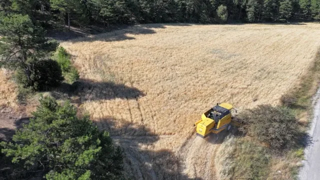 Pamukkale Belediyesi 40 Ton Arpa Üretti
