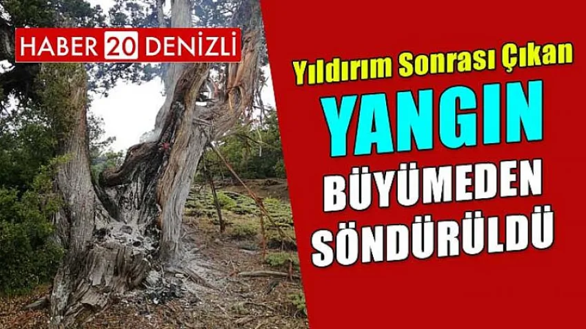 Yangın Büyümeden Söndürüldü