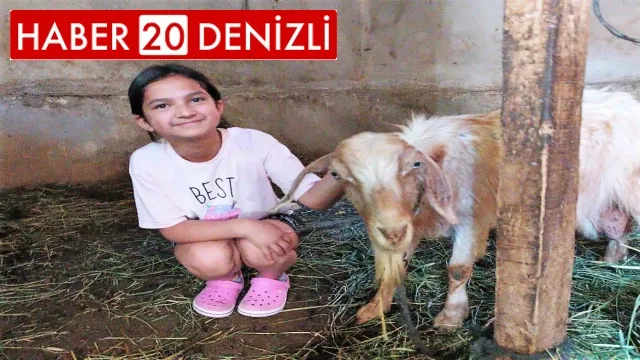 Kaçan kurbanlık keçi, 5 gün sonra boş bir evde bulundu