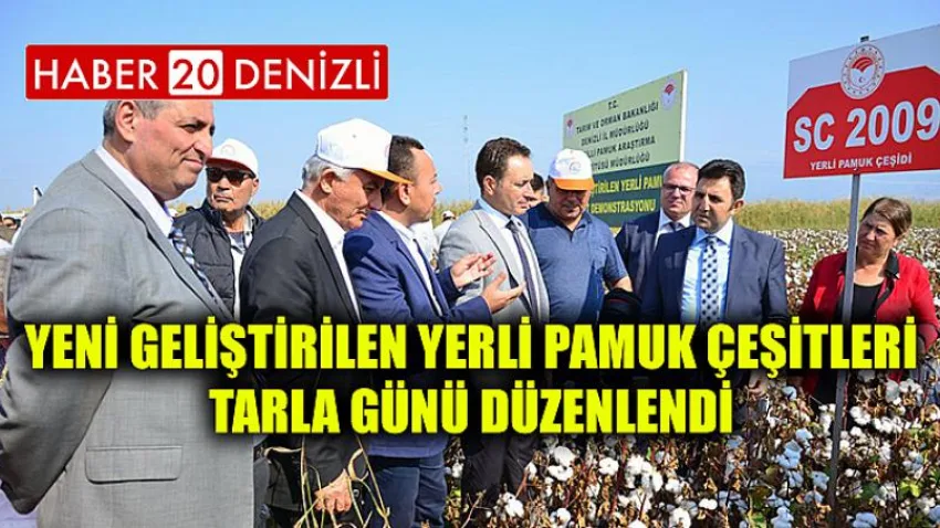 Yeni Geliştirilen Yerli Pamuk Çeşitleri Tarla Günü Düzenlendi
