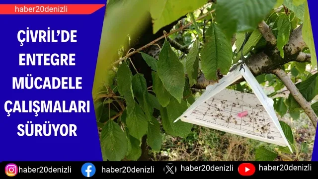 Çivril’de entegre mücadele çalışmaları sürüyor