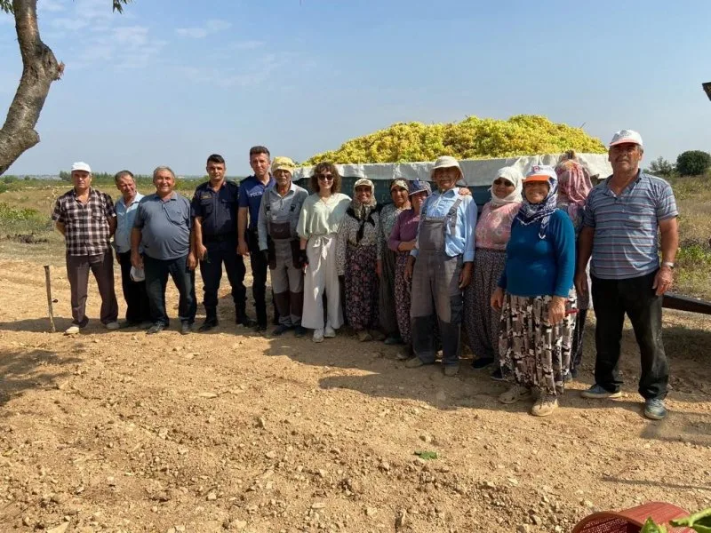 Paraşütçü kaymakam şalvar giyip üzüm topladı