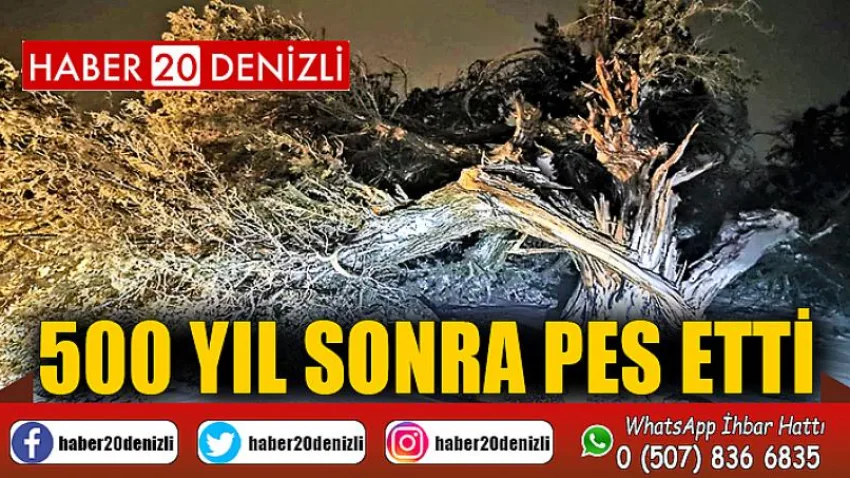 500 yıl sonra pes etti