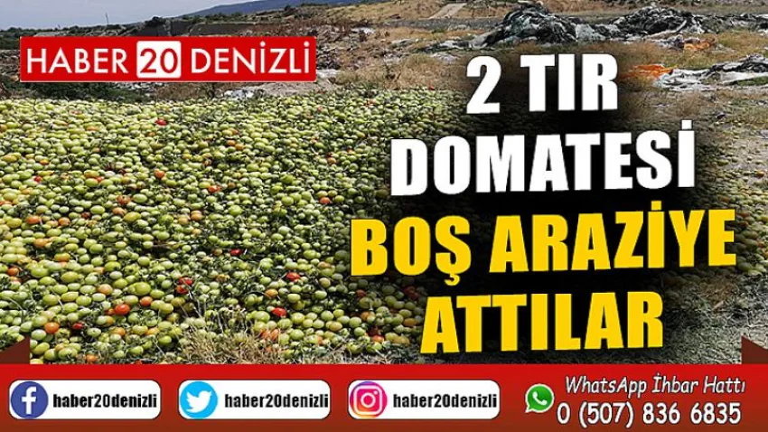 2 tır domatesi boş araziye attılar