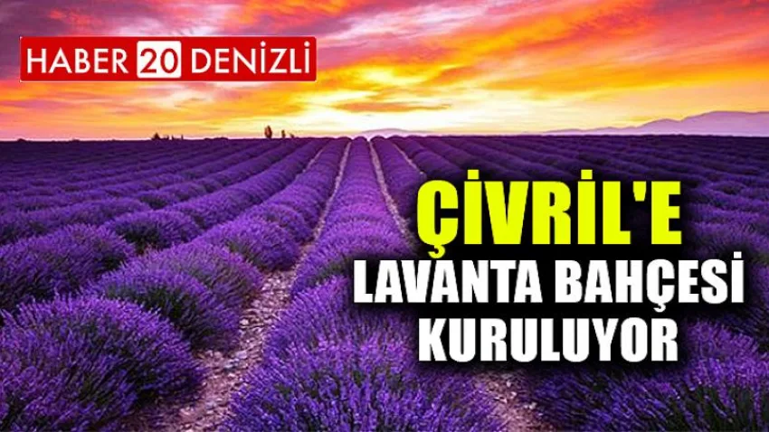 Çivril'e Lavanta Bahçesi Kuruluyor