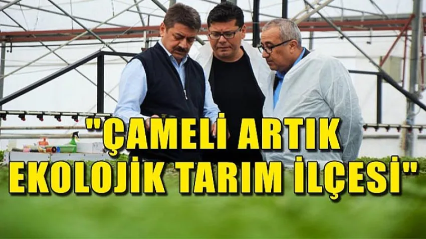 Çameli Artık Ekolojik Tarım İlçesi