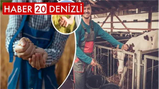 Uzman Eller Projelerine Ek Süre İmkanı Getirildi