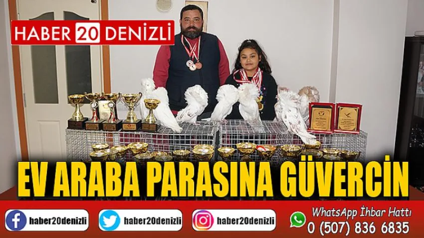 Ev araba parasına güvercin