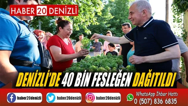 Denizli’de 40 bin fesleğen dağıtıldı
