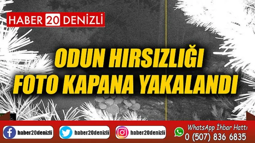 Odun hırsızlığı foto kapana yakalandı